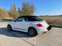 Gebraucht VW Beetle Cabriolet Cup 105 PS (77 kW) 2014 Weiß Cabrio