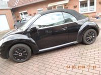 gebraucht VW Beetle 1,4, 75 PS