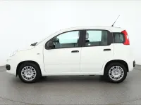 Neu Fiat Panda 71 PS (52 kW) 2025 Weiß Kleinwagen