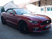 Gebraucht Ford Mustang 317 PS (233 kW) 2016 Rot Cabrio