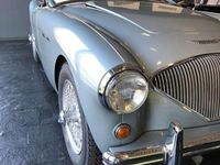 Brugt Austin Healey 100 90 HK (66 kW) 1954 Blå Cabriolet