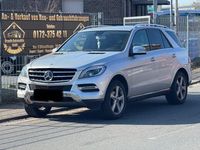 Gebraucht Mercedes ML350 258 PS (189 kW) 2013 Silber SUV
