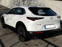 gebraucht Mazda CX-30 CX-30SKYACTIV-G 2.0 M-Hybrid SELECTION