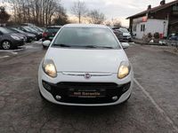 Gebraucht Fiat Punto 69 PS (50 kW) 2011 Weiß Kleinwagen