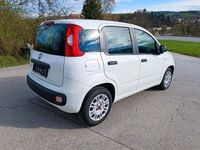 gebraucht Fiat Panda 1.2 *1.Hand * Klima * Bremse, Service, TÜV neu*