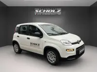 Gebraucht Fiat Panda 70 PS (51 kW) 2024 Weiß Kleinwagen