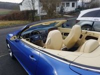 gebraucht Bentley Continental GTC