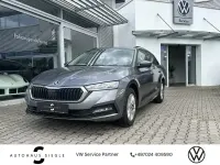 Gebraucht Skoda Octavia Ambition 150 PS (110 kW) 2022 Grau Kombi