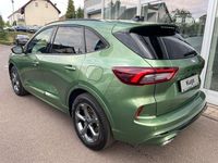 Neu Ford Kuga ST-Line 186 PS (136 kW) 2025 Grün SUV