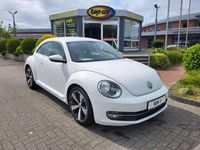 Gebraucht VW Beetle Design 105 PS (77 kW) 2013 Candyweiß Kleinwagen