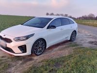 Gebraucht Kia ProCeed GT GT 204 PS (150 kW) 2019 Weiß Kleinwagen