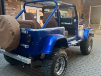 Gebraucht Jeep Wrangler 121 PS (88 kW) 1989 Blau SUV