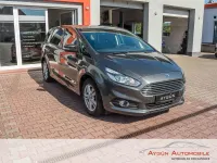 Gebraucht Ford S-MAX Business Edition 165 PS (121 kW) 2019 Grau Van / Kleinbus