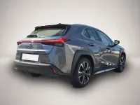 Gebraucht Lexus UX 250h Luxury Line 145 PS (106 kW) 2019 Grau SUV