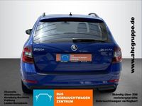 Gebraucht Skoda Octavia Clever 116 PS (85 kW) 2018 Energyblau uni Kombi
