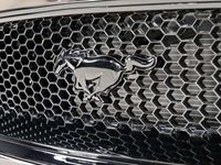 gebraucht Ford Mustang MustangCabrio 5.0 V8 mit 515 PS und Vmax: 280 km/h