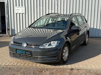 Gebraucht VW Golf VII Trendline 116 PS (85 kW) 2017 Grau Kombi