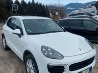 Gebraucht Porsche Cayenne 262 PS (192 kW) 2015 Weiß SUV