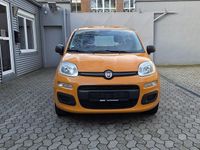 Gebraucht Fiat Panda Easy 69 PS (50 kW) 2017 Orange Kleinwagen
