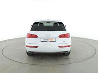 Gebraucht Audi Q5 Sport 204 PS (150 kW) 2020 Weiß SUV