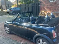Gebraucht Mini Cooper Cabriolet 116 PS (85 kW) 2005 Schwarz Cabrio