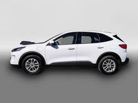 Usata Ford Kuga 224 CV (164 kW) 2022 Bianco SUV