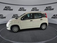 Neu Fiat Panda Icon 65 PS (47 kW) 2026 Weiß Kleinwagen