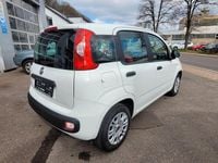 Gebraucht Fiat Panda 69 PS (50 kW) 2020 Weiß Kleinwagen