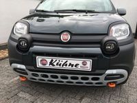 Gebraucht Fiat Panda Cross Cross 71 PS (52 kW) 2022 Grün metallic Kleinwagen