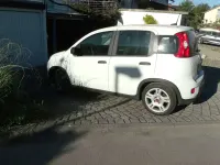 Gebraucht Fiat Panda 69 PS (50 kW) 2024 Weiß Kleinwagen