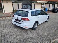 Gebraucht VW Golf VII 116 PS (85 kW) 2018 Weiß Kombi