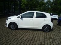 Gebraucht Kia Picanto Vision 79 PS (58 kW) 2024 Weiß Kleinwagen