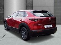 gebraucht Mazda CX-30 SKYACTIV-G M Hybrid EU6d Automatik HUD Navi LED ACC Apple CarPlay