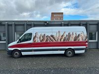 Gebraucht Mercedes Sprinter 114 PS (83 kW) 2017 Weiß Van