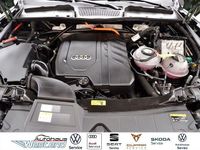 Gebraucht Audi Q5 Advanced Plus 299 PS (219 kW) 2022 Distriktgrün SUV