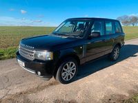 Gebraucht Land Rover Range Rover 313 PS (230 kW) 2011 Violet SUV