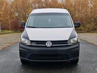 Gebraucht VW Caddy Maxi 122 PS (89 kW) 2015 Weiß Van / Kleinbus
