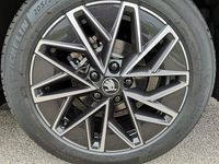 Neu Skoda Octavia Selection 190 PS (139 kW) 2026 Graphitegrau metallic Kombi