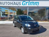 Gebraucht Fiat Panda 69 PS (50 kW) 2024 Schwarz Kleinwagen