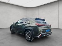 Gebraucht Lexus UX 250h Sport Design Packet 189 PS (139 kW) 2024 Grün SUV