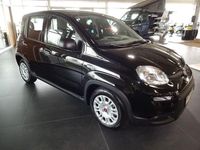 Gebraucht Fiat Panda 69 PS (50 kW) 2024 Colore esterno (cinema schwarz Kleinwagen