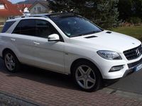 Gebraucht Mercedes ML350 258 PS (189 kW) 2015 Weiß SUV