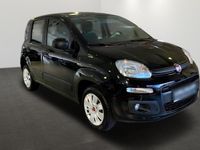 Gebraucht Fiat Panda 2016 Kleinwagen