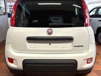 Gebraucht Fiat Panda 69 PS (50 kW) 2023 Weiß Kleinwagen