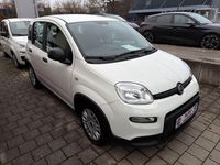 Gebraucht Fiat Panda 69 PS (50 kW) 2024 Weiß Limousine