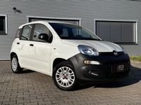 gebraucht Fiat Panda Easy /KLIMA/STADTFLITZER/TÜV & SERVICE NEU