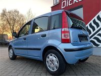 Gebraucht Fiat Panda 69 PS (50 kW) 2011 Colore esterno (azzurro settim Kleinwagen