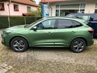 Gebraucht Ford Kuga ST-Line 186 PS (136 kW) 2024 Grün SUV
