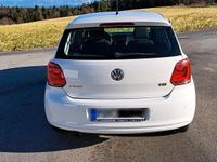 Gebraucht VW Polo 90 PS (66 kW) 2014 Weiß Kleinwagen