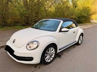Gebraucht VW Beetle Cabriolet 105 PS (77 kW) 2016 Weiß Cabrio